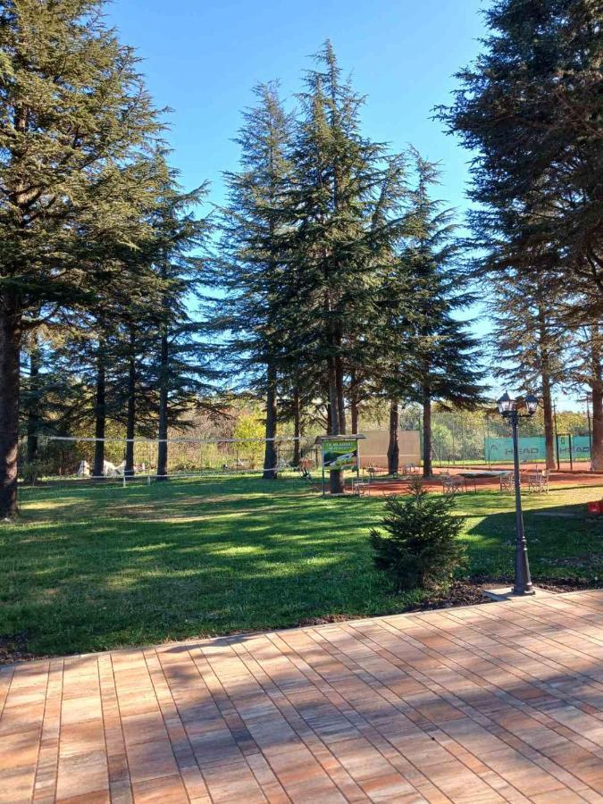 Roomsapartments Popcourt Панчево Екстер'єр фото